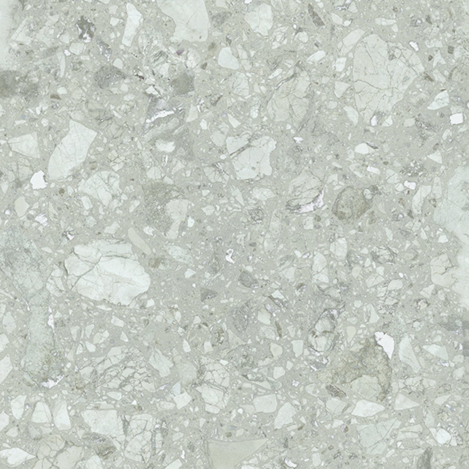 Platinum Selena Grey 60x60